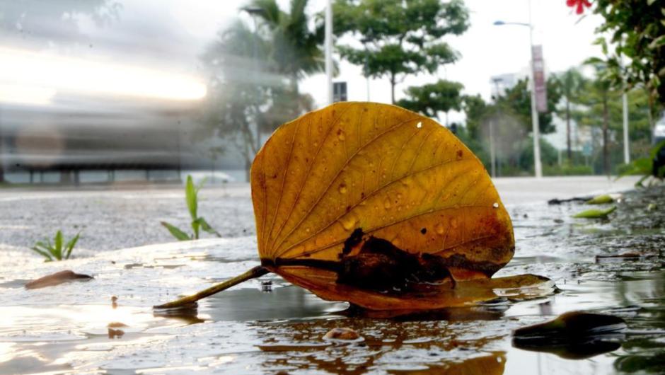 Sol, calor, chuva e frio marcaram o clima instável neste final de agosto e início de setembro no Litoral Norte catarinense.